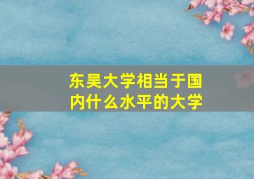 东吴大学相当于国内什么水平的大学