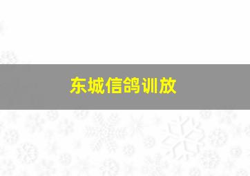 东城信鸽训放