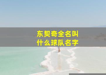 东契奇全名叫什么球队名字