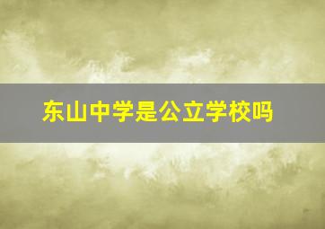 东山中学是公立学校吗