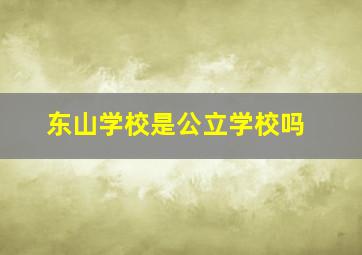 东山学校是公立学校吗