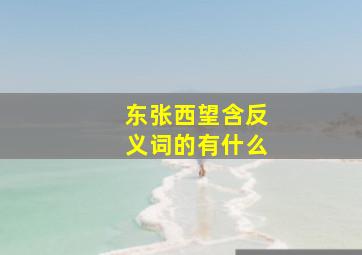 东张西望含反义词的有什么