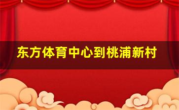 东方体育中心到桃浦新村