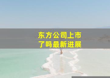 东方公司上市了吗最新进展