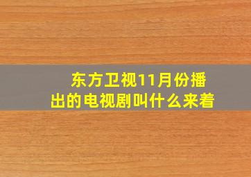 东方卫视11月份播出的电视剧叫什么来着