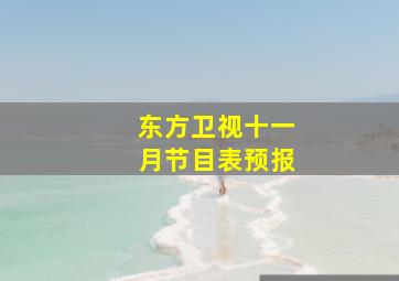 东方卫视十一月节目表预报