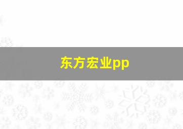 东方宏业pp