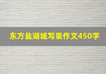 东方盐湖城写景作文450字