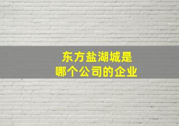 东方盐湖城是哪个公司的企业