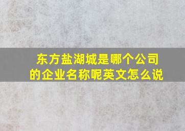 东方盐湖城是哪个公司的企业名称呢英文怎么说