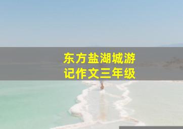 东方盐湖城游记作文三年级