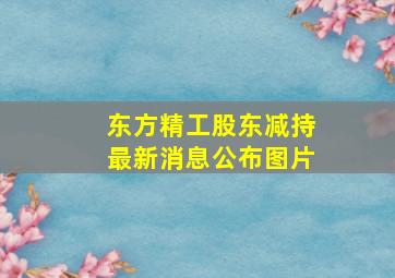 东方精工股东减持最新消息公布图片