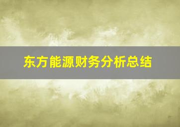 东方能源财务分析总结