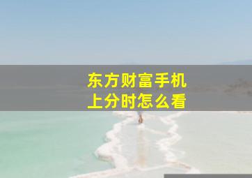 东方财富手机上分时怎么看