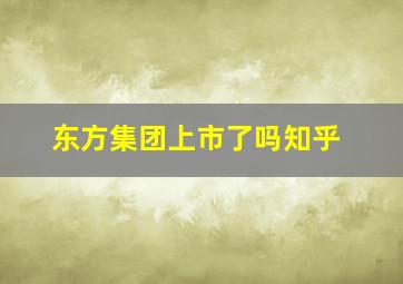 东方集团上市了吗知乎