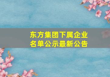 东方集团下属企业名单公示最新公告