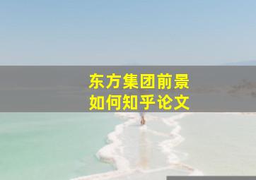 东方集团前景如何知乎论文