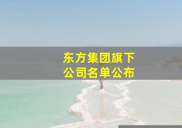 东方集团旗下公司名单公布