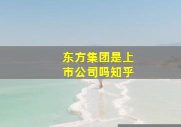 东方集团是上市公司吗知乎