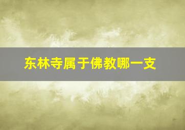 东林寺属于佛教哪一支