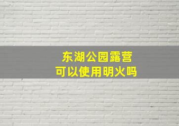 东湖公园露营可以使用明火吗