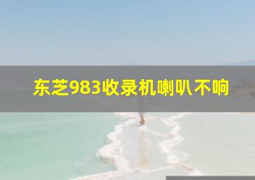 东芝983收录机喇叭不响