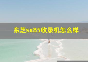 东芝sx85收录机怎么样