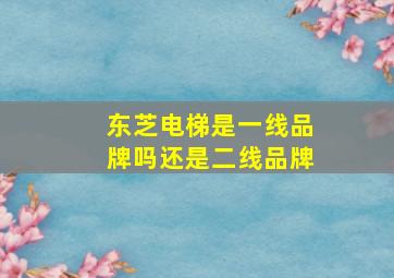 东芝电梯是一线品牌吗还是二线品牌