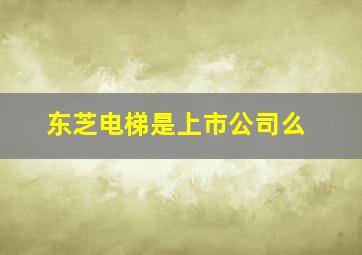 东芝电梯是上市公司么