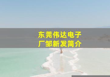 东莞伟达电子厂邹新发简介