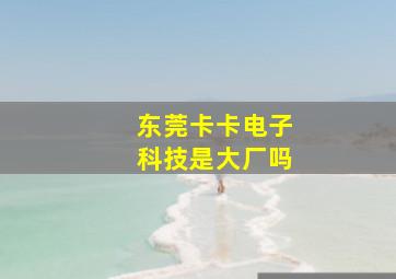 东莞卡卡电子科技是大厂吗