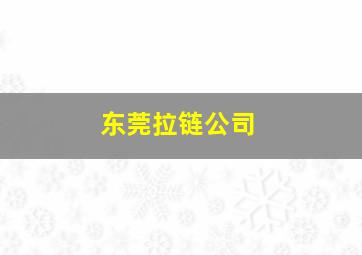 东莞拉链公司