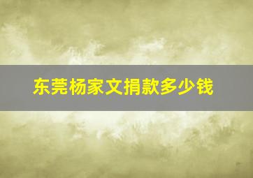 东莞杨家文捐款多少钱