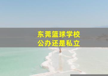 东莞篮球学校公办还是私立