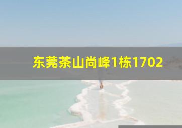 东莞茶山尚峰1栋1702