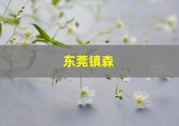 东莞镇森