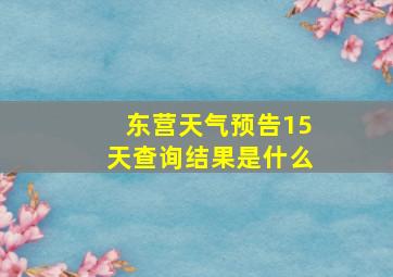 东营天气预告15天查询结果是什么