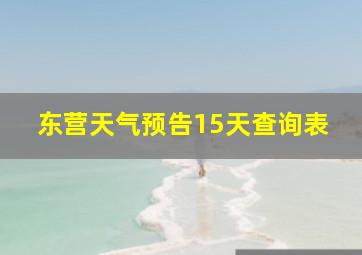 东营天气预告15天查询表