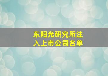 东阳光研究所注入上市公司名单