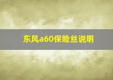 东风a60保险丝说明