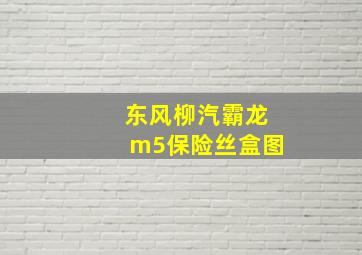 东风柳汽霸龙m5保险丝盒图