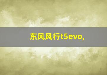 东风风行t5evo,