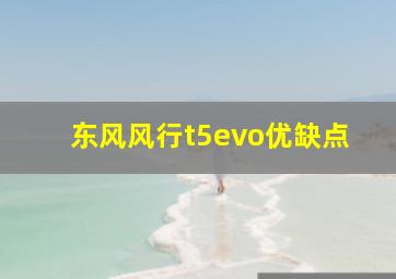 东风风行t5evo优缺点