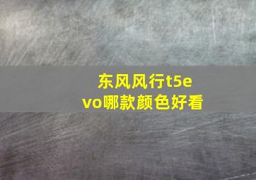 东风风行t5evo哪款颜色好看