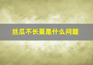 丝瓜不长蔓是什么问题