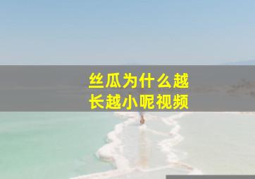 丝瓜为什么越长越小呢视频