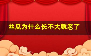 丝瓜为什么长不大就老了