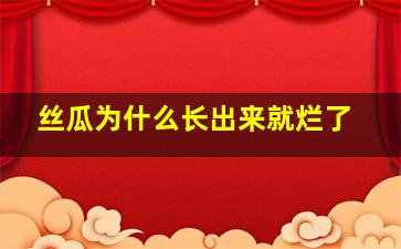 丝瓜为什么长出来就烂了