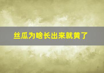 丝瓜为啥长出来就黄了