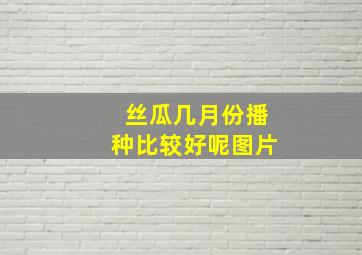 丝瓜几月份播种比较好呢图片